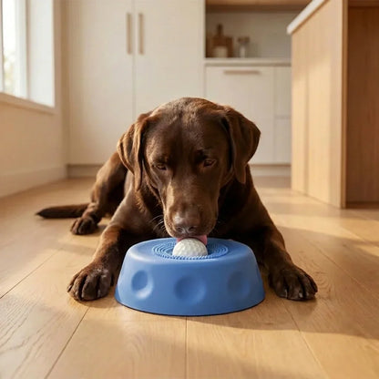 Calming Lick Bowl™ – Anxiety Relief Slow Feeder for Dogs